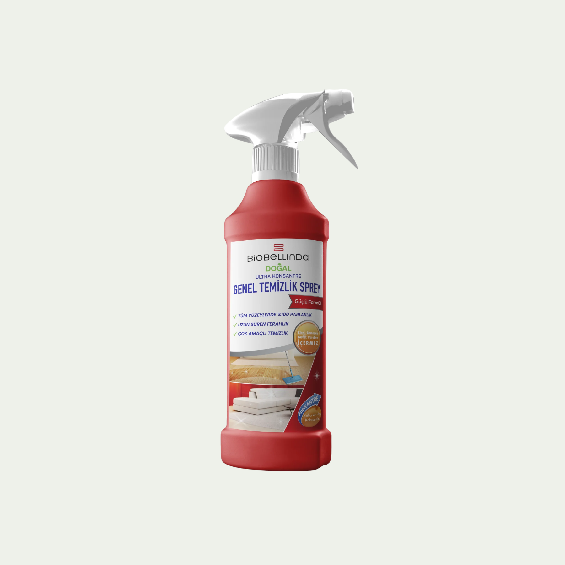 Spray nettoyant multi-usage – BL280