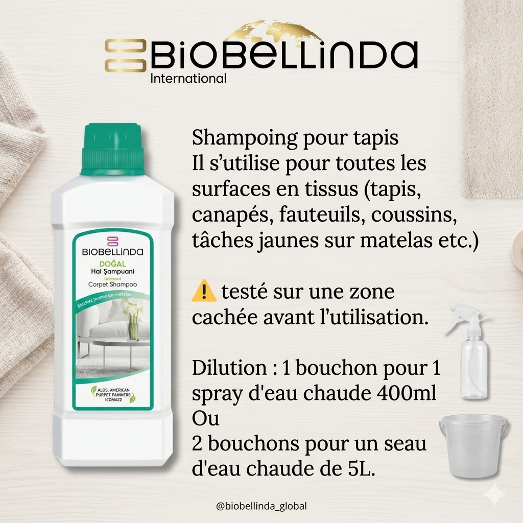 Shampooing pour tapis – BL06